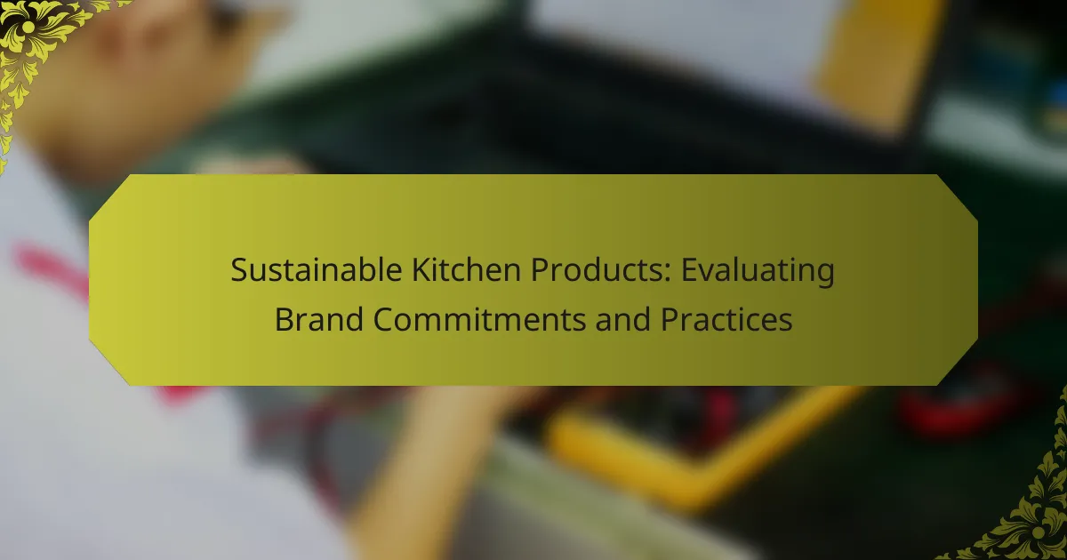 Sustainable Kitchen Products: Evaluating Brand Commitments and Practices